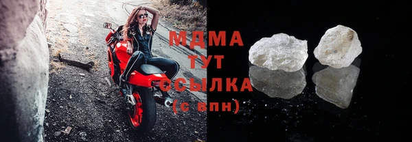 шишки Гусь-Хрустальный