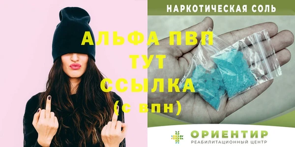 хмурый Гусев