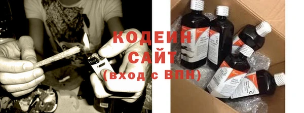 шишки Гусь-Хрустальный