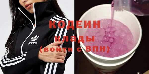 шишки Гусь-Хрустальный