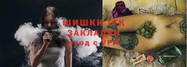 хмурый Гусев