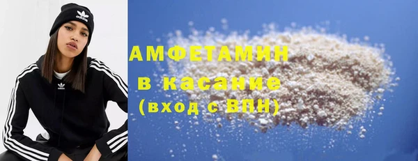 шишки Гусь-Хрустальный