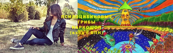хмурый Гусев