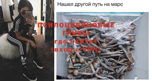 хмурый Гусев