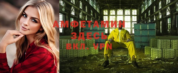 шишки Гусь-Хрустальный