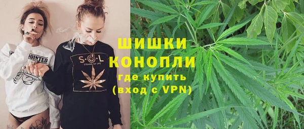 хмурый Гусев