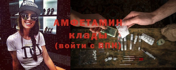 шишки Гусь-Хрустальный
