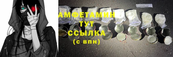 шишки Гусь-Хрустальный
