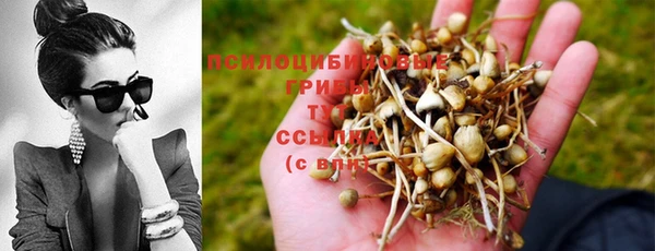 шишки Гусь-Хрустальный