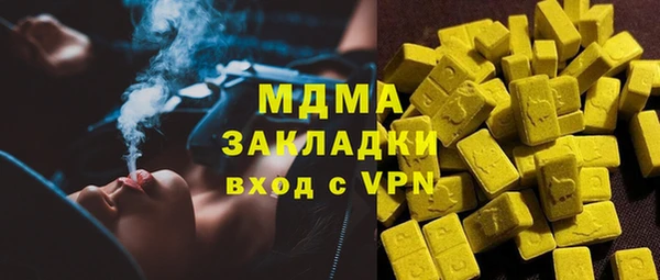 шишки Гусь-Хрустальный