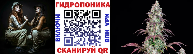 наркотики  Павловск  Конопля Bruce Banner 